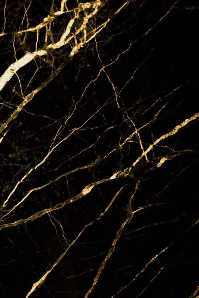 stone-glue-683x1024